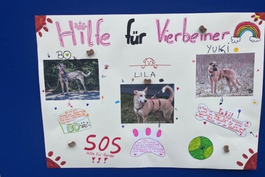 Soziales Engagement für die Tierherberge Egelsbach