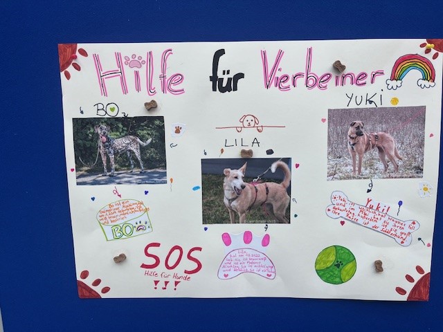 Soziales Engagement für die Tierherberge Egelsbach