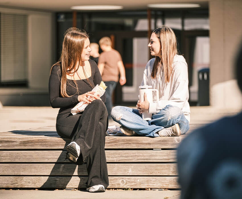 Ein Bild von einer Papiersprechblase wo in der Mitte News ausgeschnitten ist und der Hintergrund ist grün und schimmert durch